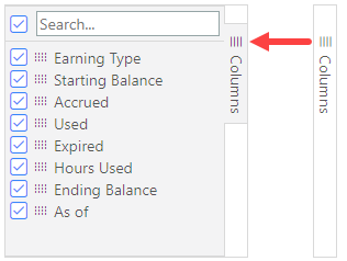 expanded column filters