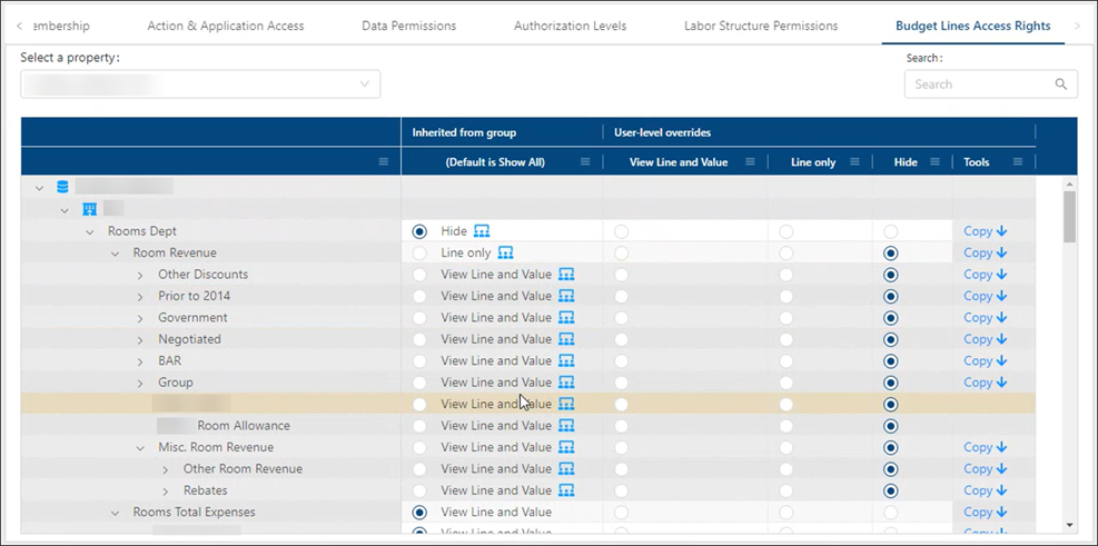 budget lines access tab